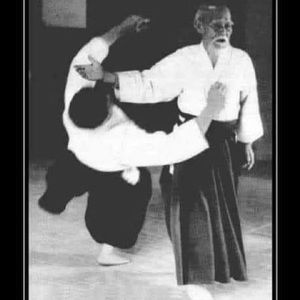 Meet your Posher, Skyelor